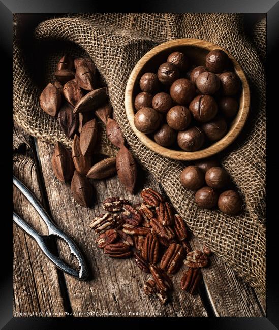 Macadamia, Pecan and Pili nuts on wooden table Framed Print by Antonio Gravante