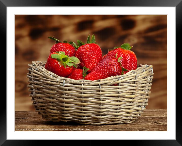 Strawberries Framed Mounted Print by Antonio Gravante