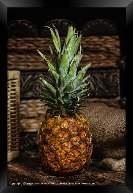 Still life with pineapple on wooden rustic table. Framed Print by Antonio Gravante