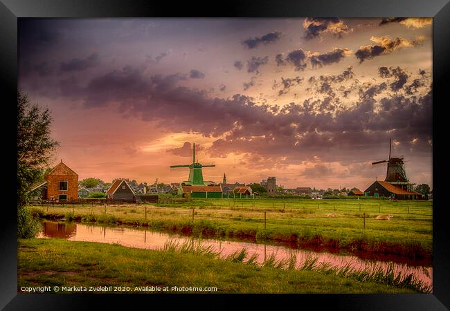 Zaanse Schans at sunset Framed Print by Marketa Zvelebil