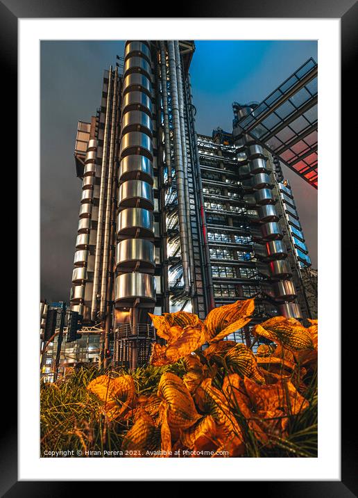 Lloyds Buildings at Night, City of London Framed Mounted Print by Hiran Perera