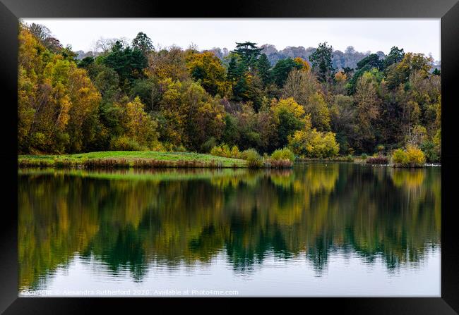 Woodland Lake Reflection Framed Print by Alexandra Rutherford