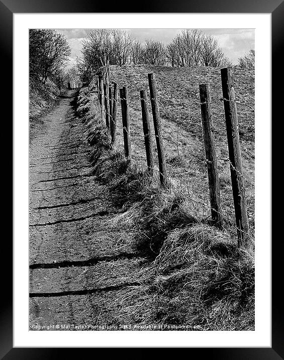 THE STRANGER WAITING ON THE LANE Framed Mounted Print by Mal Taylor Photography