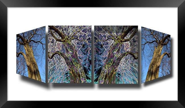 VARIATIONS OF VISION Framed Print by Mal Taylor Photography