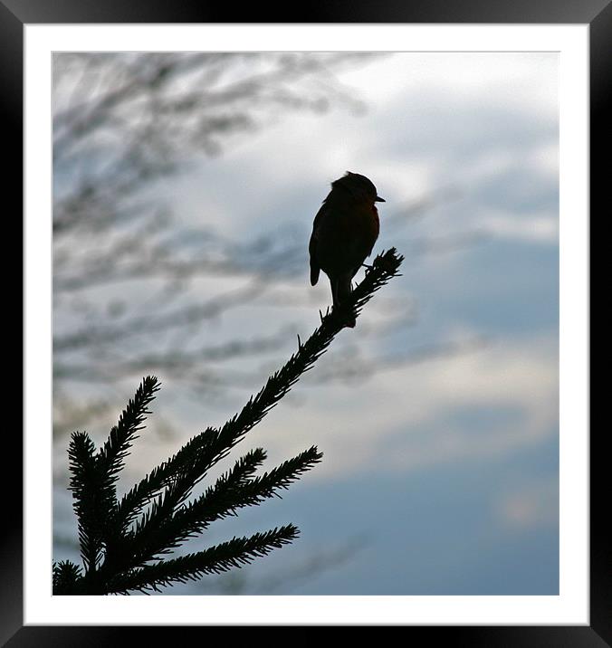 AWAITING SUNRISE Framed Mounted Print by Mal Taylor Photography