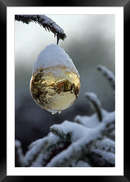 Christmas sparkle Framed Mounted Print by Mal Taylor Photography
