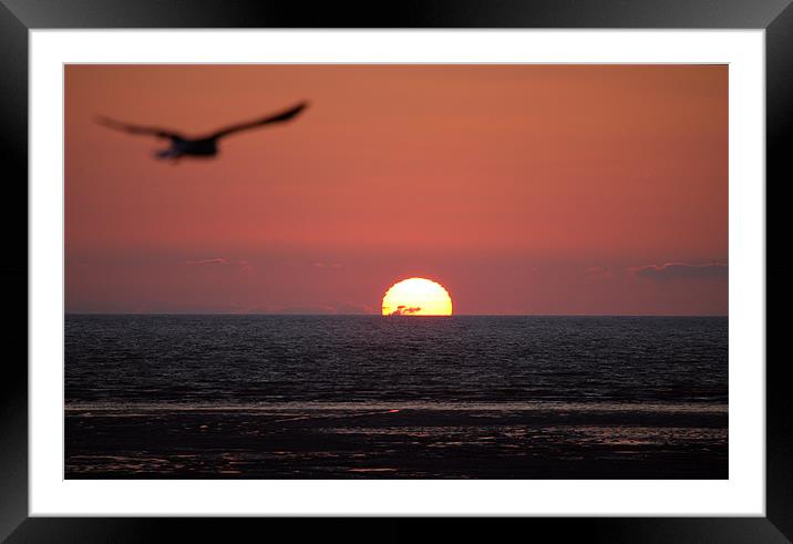 CHASING THE SUN Framed Mounted Print by Mal Taylor Photography