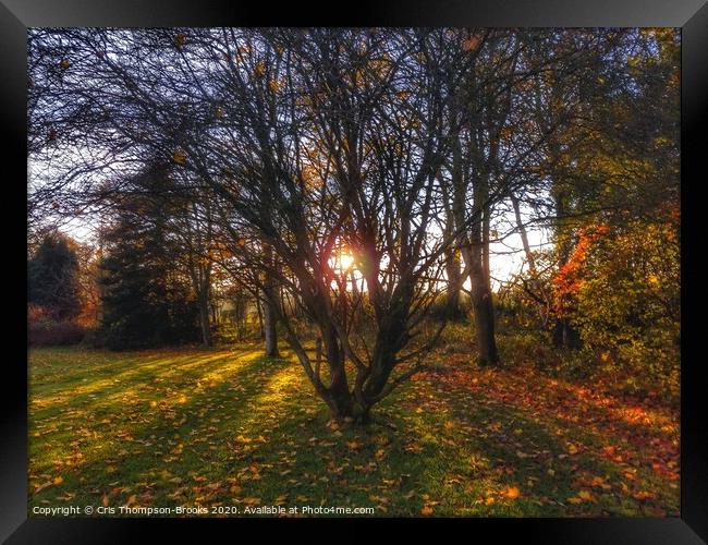 Hidden treasures Framed Print by Cris Thompson-Brooks