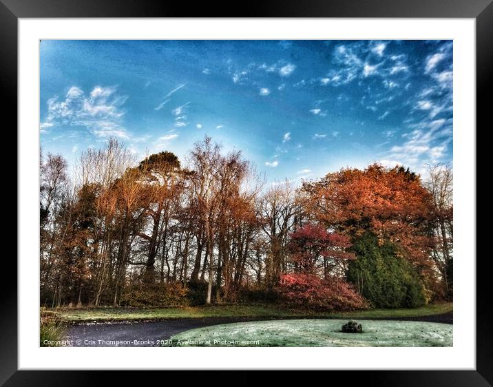 The Autumn Colours of Kingencleugh Framed Mounted Print by Cris Thompson-Brooks