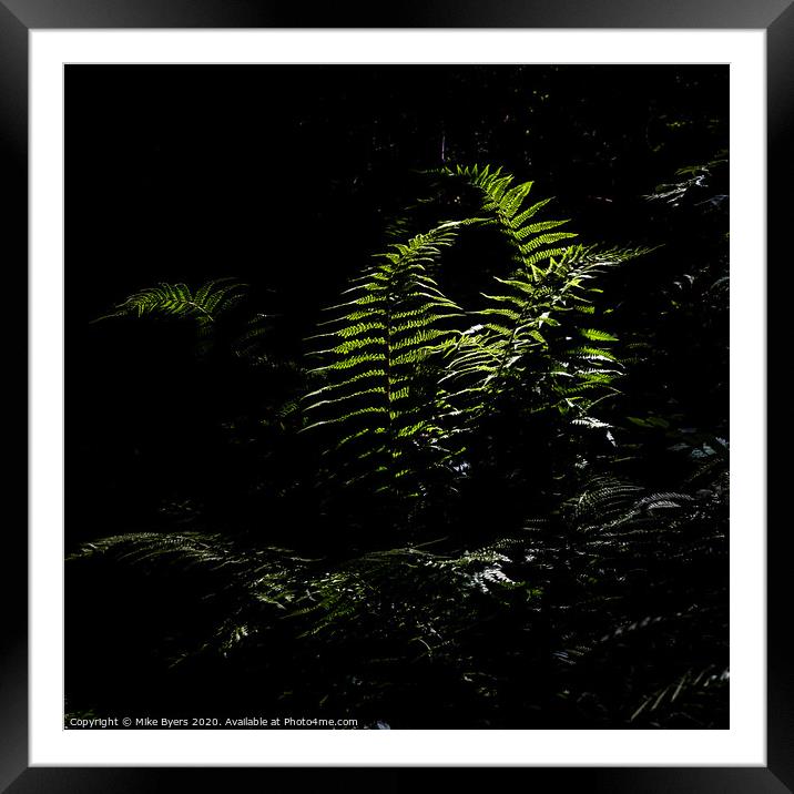 Sun-kissed Ferns Framed Mounted Print by Mike Byers