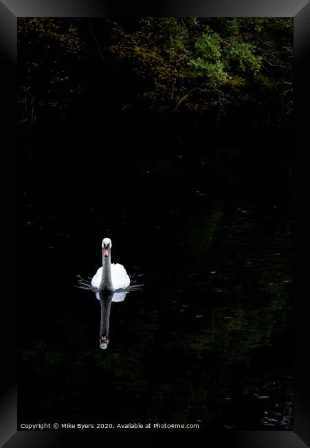 "Graceful Swan Glides Through Autumn Serenity" Framed Print by Mike Byers