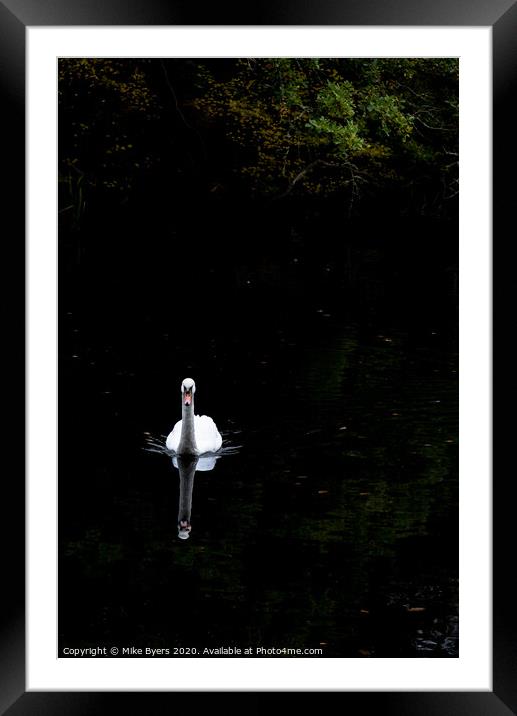 "Graceful Swan Glides Through Autumn Serenity" Framed Mounted Print by Mike Byers