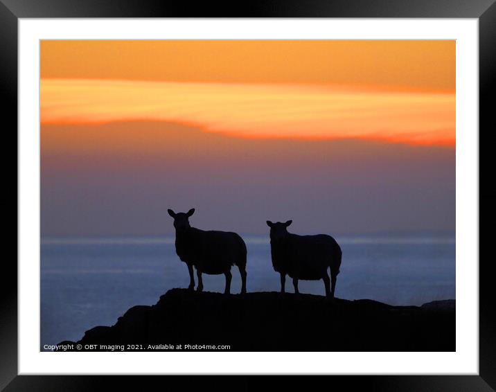 Sunset Sheep Silhouette Framed Mounted Print by OBT imaging