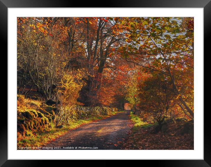 Highland Autumn Splendour October Trail Glenlivet Upper Speyside Scotland Framed Mounted Print by OBT imaging
