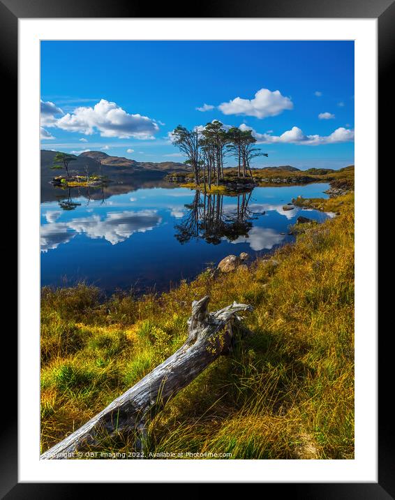 Loch Assynt Lochinver Road Pine Reflection North West Scotland Framed Mounted Print by OBT imaging
