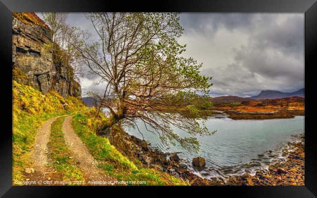 Highland Scotland Tree and Track Framed Print by OBT imaging