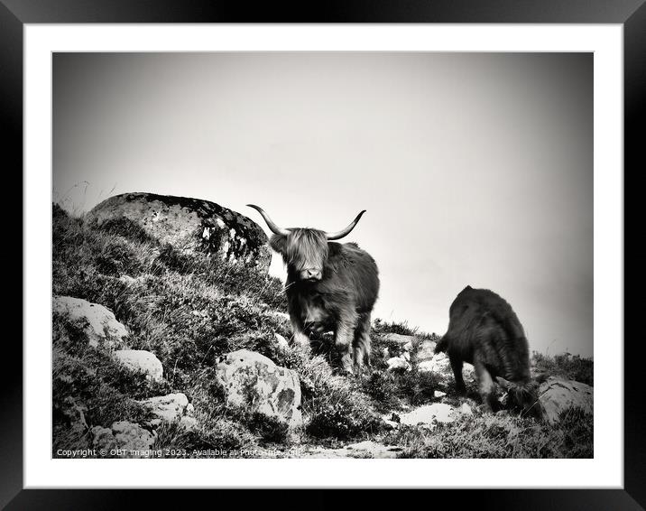 Highland Cow and Calf Highland Coo Scottish Highla Framed Mounted Print by OBT imaging