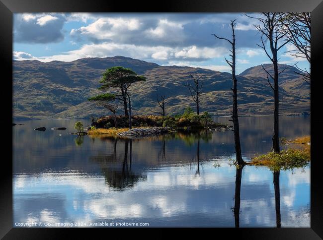Assynt Loch & Tree Reflections Scottish Highlands  Framed Print by OBT imaging