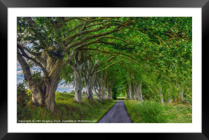 Beech Tree Avenue Nature Arcade Framed Mounted Print by OBT imaging
