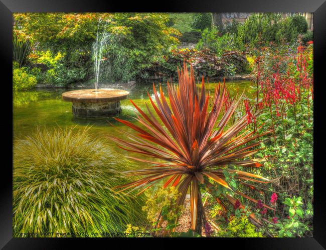 Fountain and Fabulous Foliage Garden Scotland Framed Print by OBT imaging