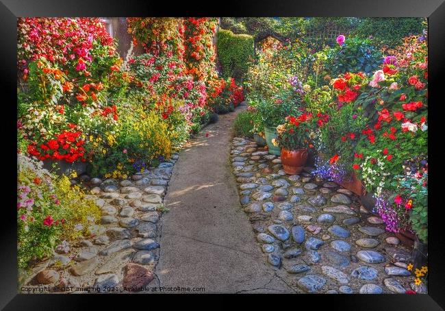 Cottage Garden Path  Framed Print by OBT imaging