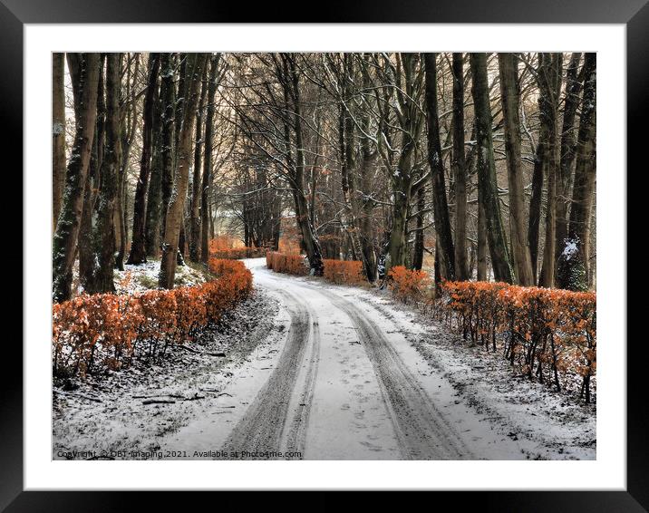 Olde Beech Hedge Drive In Winter Scotland Framed Mounted Print by OBT imaging