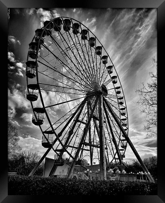 The Eye Framed Print by Michelle Bowler