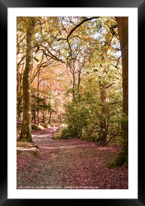 Fairytale Forest - Tollymore  Framed Mounted Print by Jennifer Nelson