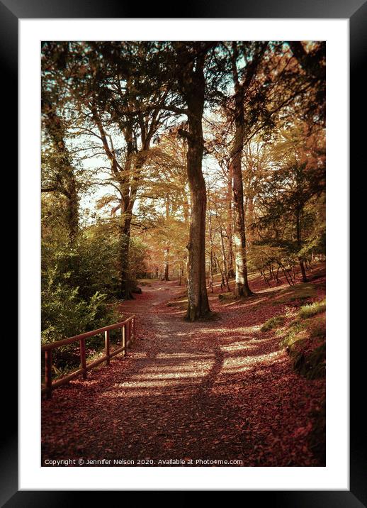 Hidden Pathways - Tollymore Forest Park  Framed Mounted Print by Jennifer Nelson