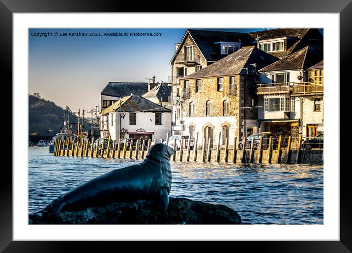 Nelson the Seal at Looe Framed Mounted Print by Lee Kershaw