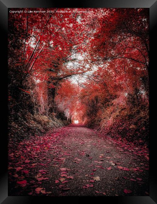 "Crimson Canopy: A Tranquil Autumn Journey" Framed Print by Lee Kershaw