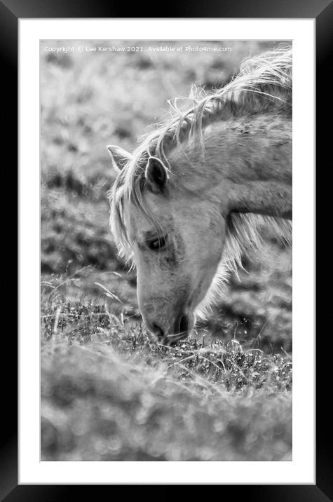 Freedom Unbridled Framed Mounted Print by Lee Kershaw
