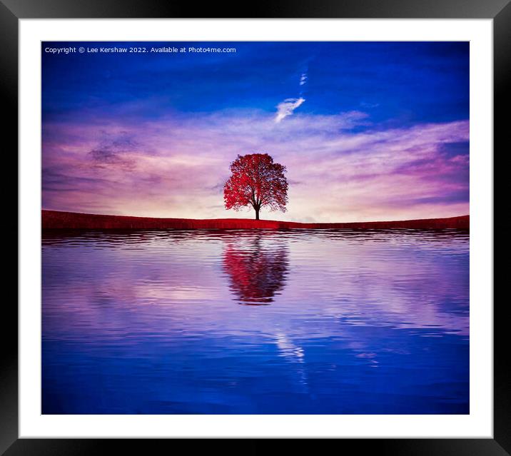 "Crimson Reflection: Solitary Tree Gracefully Ador Framed Mounted Print by Lee Kershaw