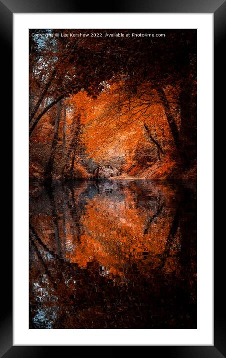 "Autumn's Fiery Embrace: A Captivating Reflection" Framed Mounted Print by Lee Kershaw