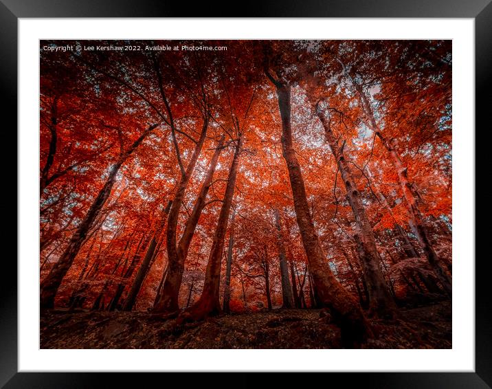"Enchanting Symphony of Autumn's Palette" Framed Mounted Print by Lee Kershaw