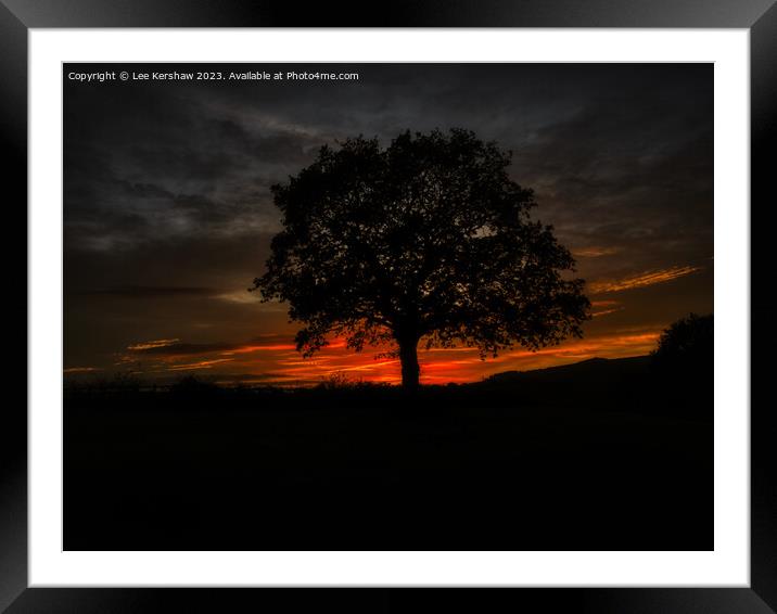 Serene Twilight Over a Striking Solitary Tree Framed Mounted Print by Lee Kershaw
