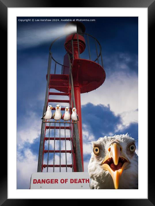 Pesky Birds in Danger on Banjo Pier in Looe Framed Mounted Print by Lee Kershaw