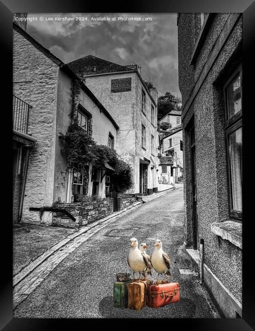 Even Seagulls Need a Holiday so why not in Looe Framed Print by Lee Kershaw