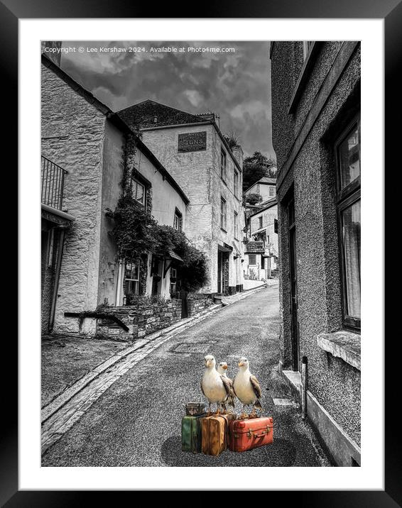 Even Seagulls Need a Holiday so why not in Looe Framed Mounted Print by Lee Kershaw