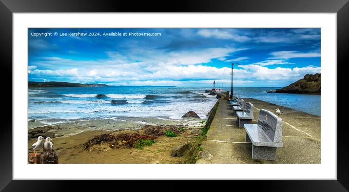 Looe Beach and Banjo Pier along with the Pesky Birds Framed Mounted Print by Lee Kershaw
