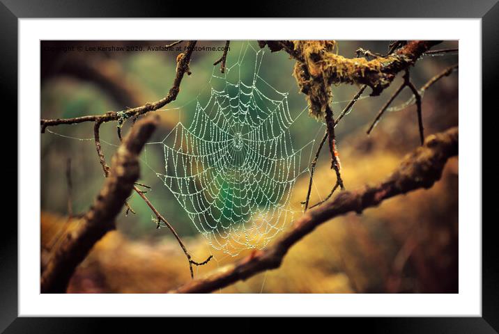 Spider's Web Framed Mounted Print by Lee Kershaw