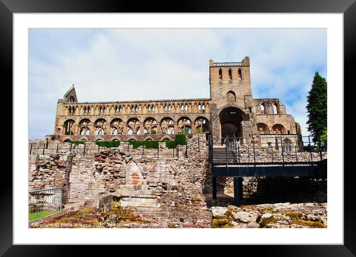 Jedburgh Abbey ruins Framed Mounted Print by Fiona Williams