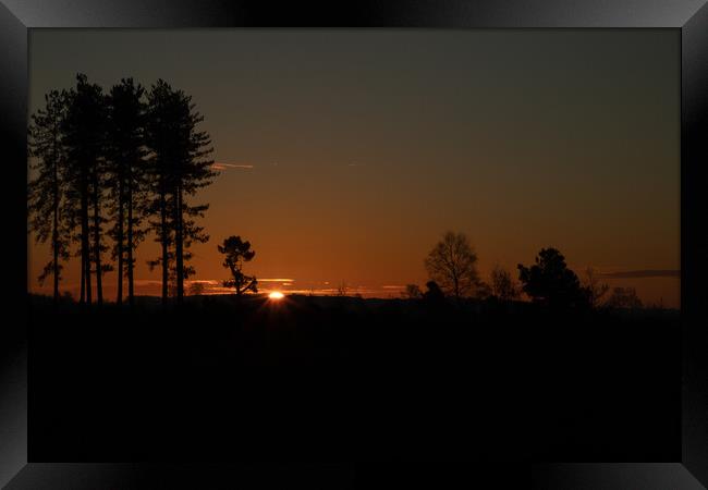 Sunrise between the trees Framed Print by Andy Dow