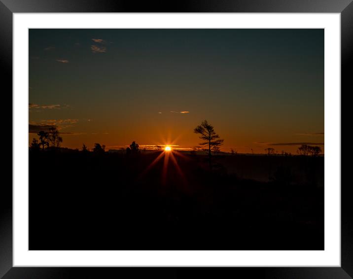 First light in the New Forest Framed Mounted Print by Andy Dow