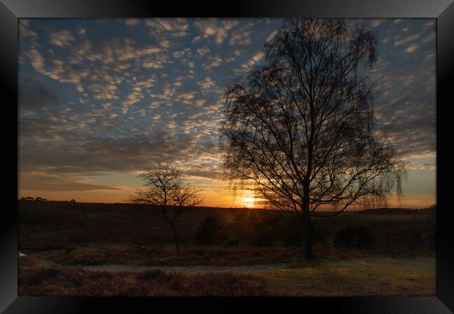Sunset over the New Forest Framed Print by Andy Dow