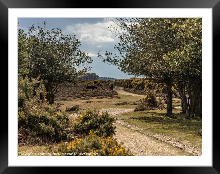 Wandering through the New Forest Framed Mounted Print by Andy Dow