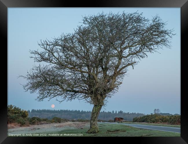 Full moon Framed Print by Andy Dow