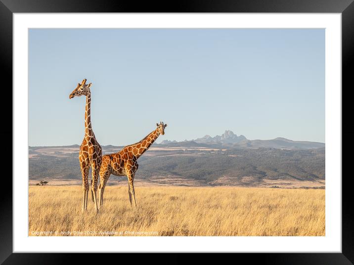 Mt Kenya and the giraffes  Framed Mounted Print by Andy Dow