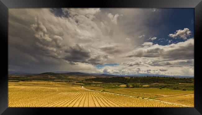 Storms approach over Rioja vineyards  Framed Print by Andy Dow