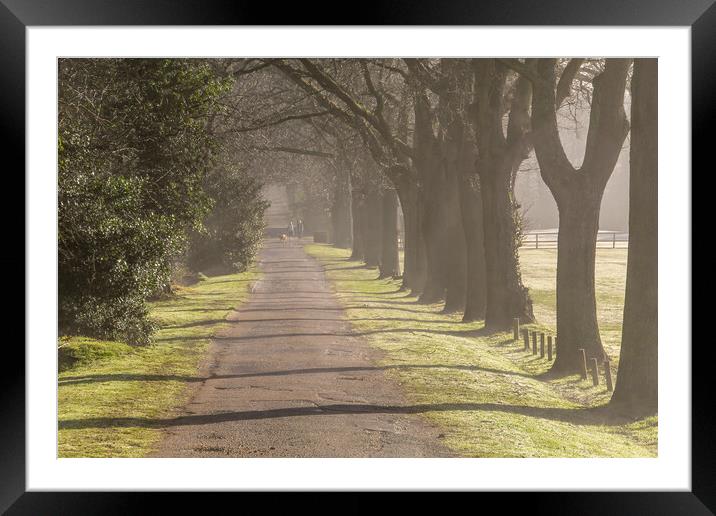 Tranquility in the Berkshire countryside Framed Mounted Print by Andy Dow